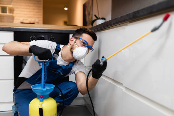 Best Pest Control Near Me in Sloan, IA
