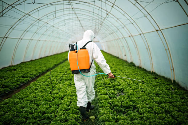 Best Best Pest Control Companies  in Sloan, IA