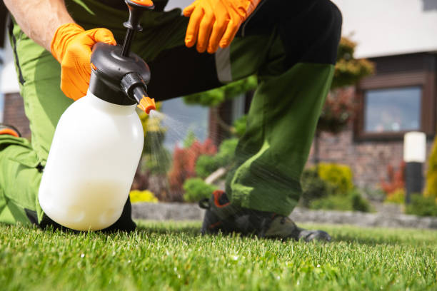 Best Residential Pest Control  in Sloan, IA