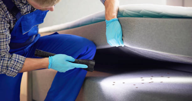 Best Pest Control for Businesses  in Sloan, IA