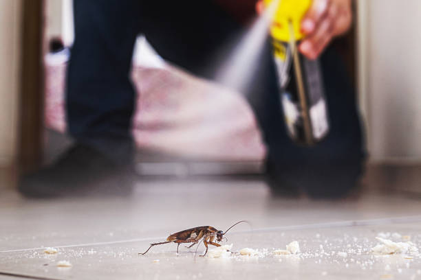 Best Wildlife Control Services  in Sloan, IA