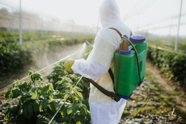 Best Local Pest Control Services  in Sloan, IA